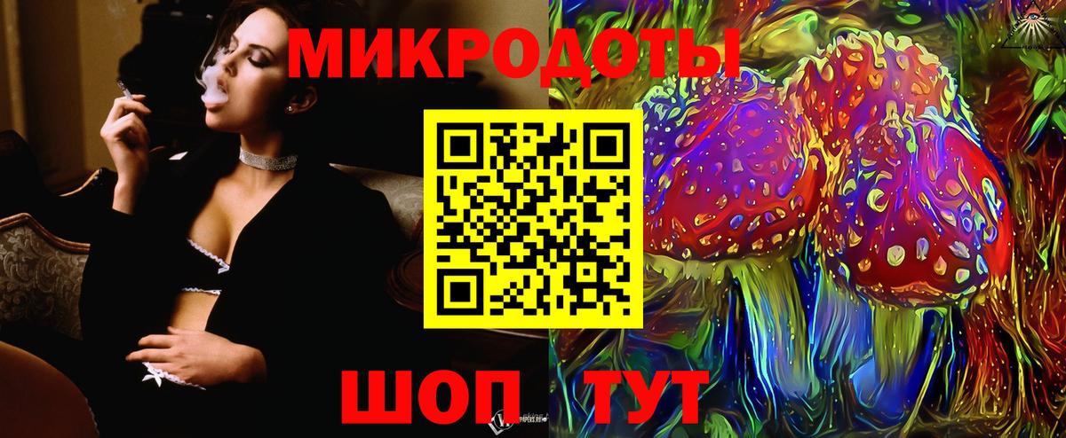 Псилоцибиновые грибы Psilocybine cubensis Сергиев Посад