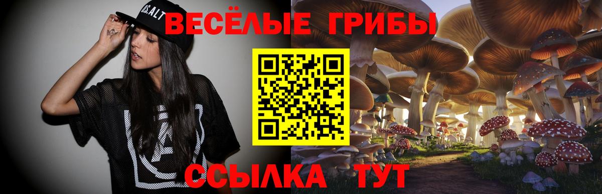где можно купить наркотик  Вход с VPN  Галлюциногенные грибы Psilocybe  Сергиев Посад  Галлюциногенные грибы прущие грибы 
